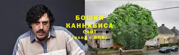 2c-b Богданович