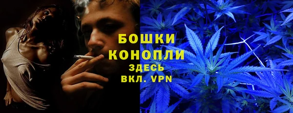 прущий лед Богородск