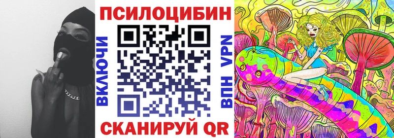 Псилоцибиновые грибы GOLDEN TEACHER  мега ТОР  Новокузнецк 